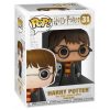 Φιγούρα Funko POP! Harry Potter - Harry with Hedwig #31 (Limited)